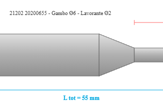 21202 20200655